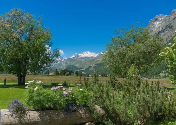 Chesa Flur Sulagl 1 By Interhome Apartamento Sils Maria