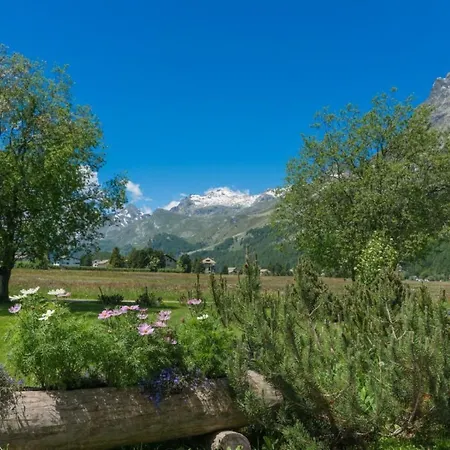 Chesa Flur Sulagl 1 By Interhome Apartmán Sils Maria