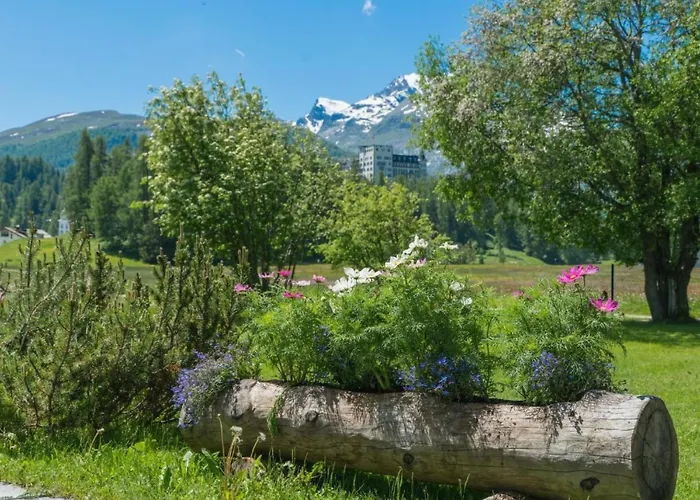 Apartmán Chesa Flur Sulagl 1 By Interhome *